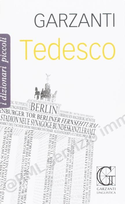 DIZIONARIO PICCOLO DI...