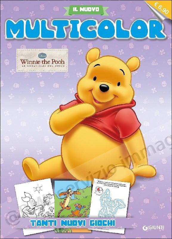 WINNIE THE POOH MULTICOLOR