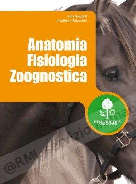 ANATOMIA FISIOLOGIA E...