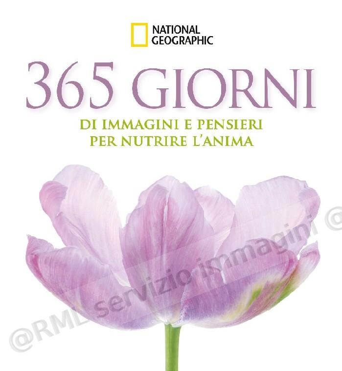 365 GIORNI DI IMMAGINI E...