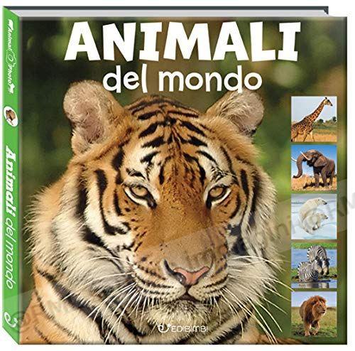 ANIMALI DEL MONDO