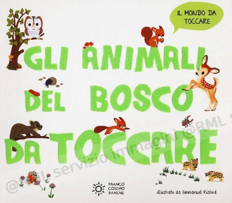 ANIMALI DEL BOSCO DA TOCCARE