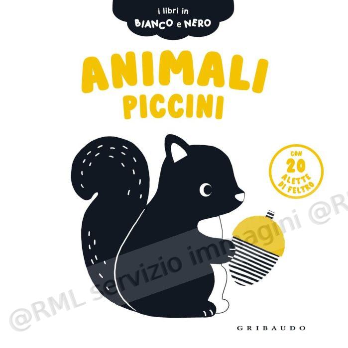 animali piccini ediz a colori