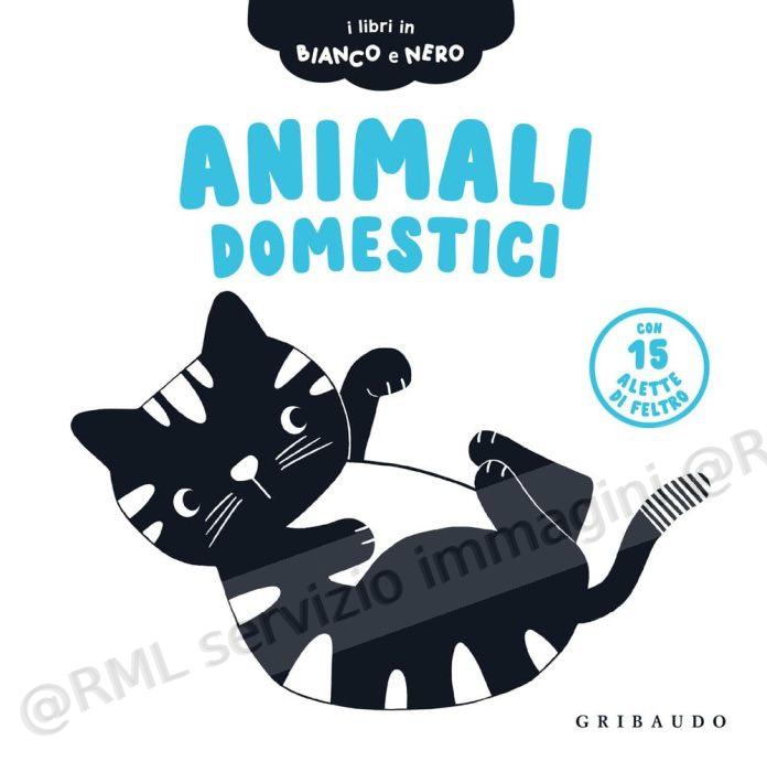 animali domestici i libri...