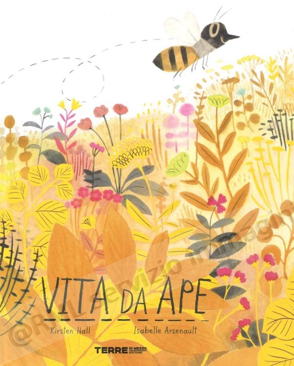 vita da ape