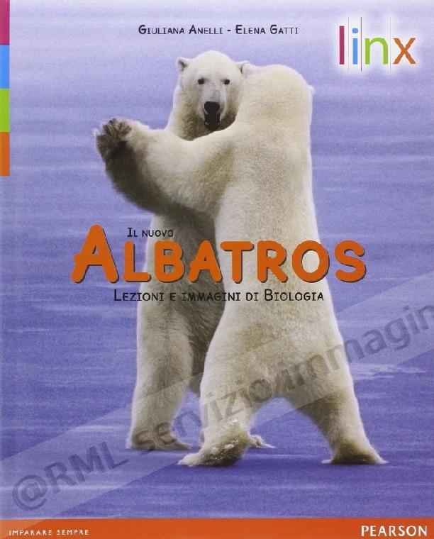 NUOVO ALBATROS