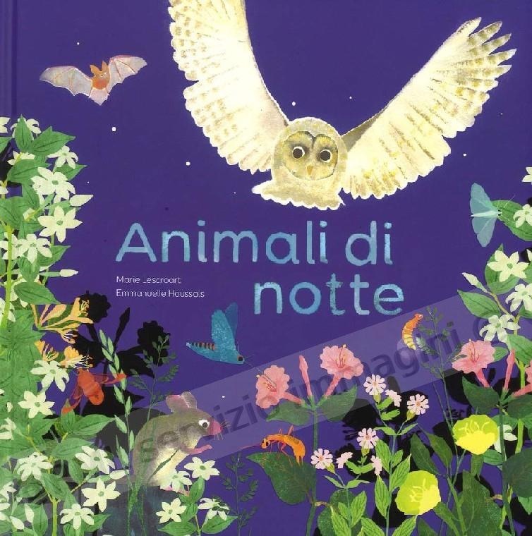 animali di notte ediz a colori