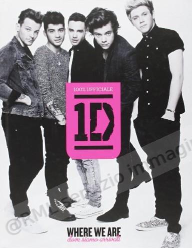 ONE DIRECTION WHERE WE ARE