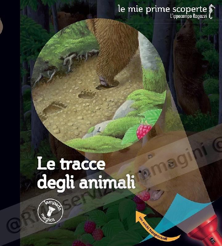 TRACCE DEGLI ANIMALI
