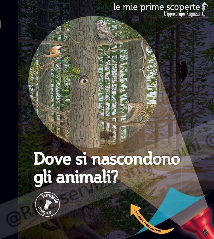DOVE SI NASCONDONO GLI...