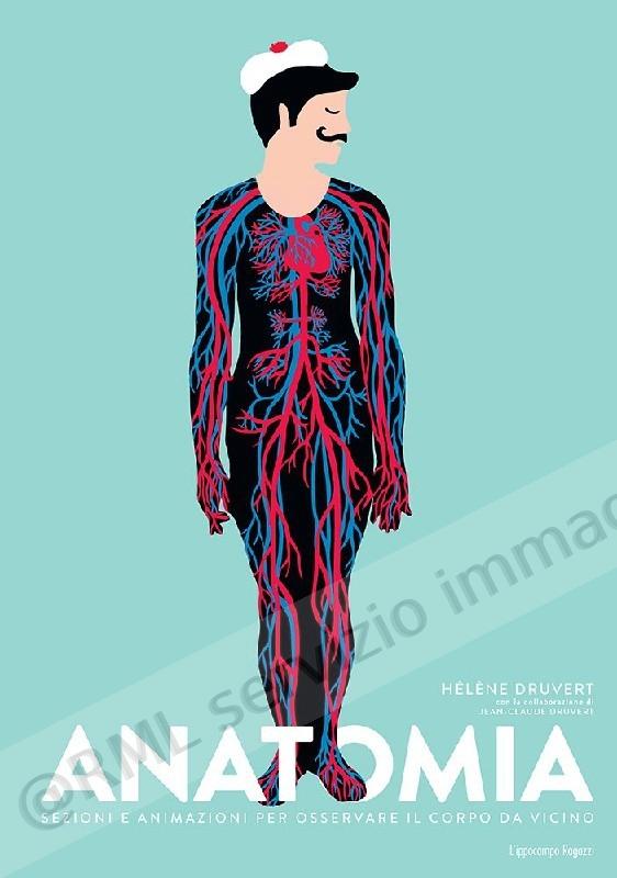 ANATOMIA-sezioni e...