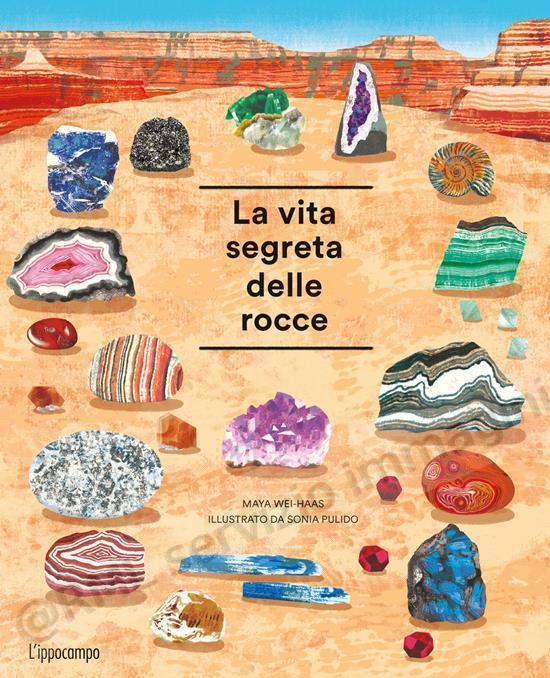 vita segreta delle rocce...
