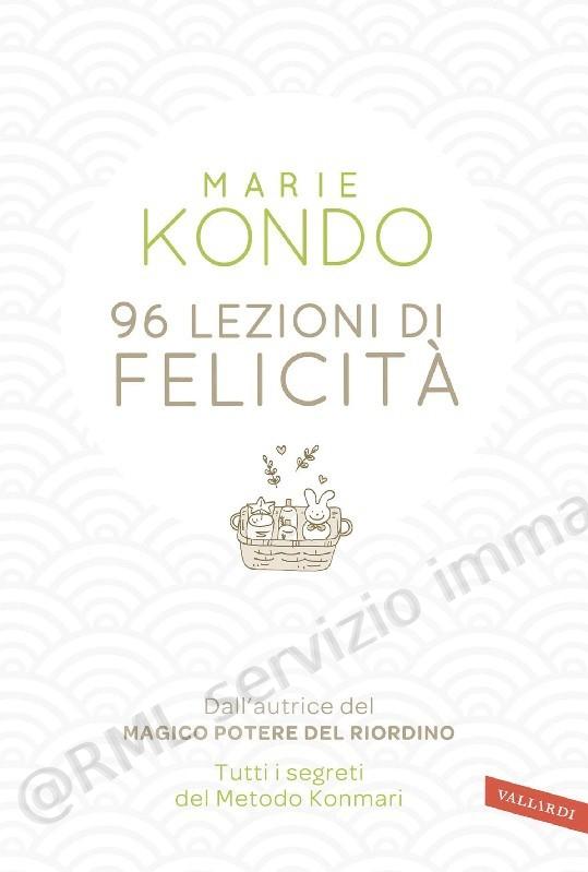 96 LEZIONI DI FELICITA'