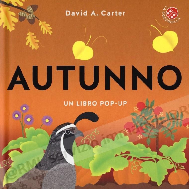 AUTUNNO  LIBRO POP-UP