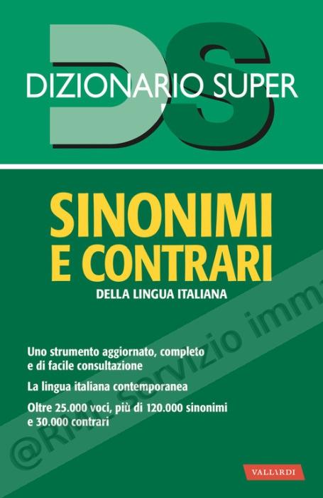 DIZIONARIO SINONIMI E...