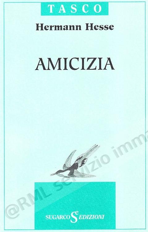 AMICIZIA