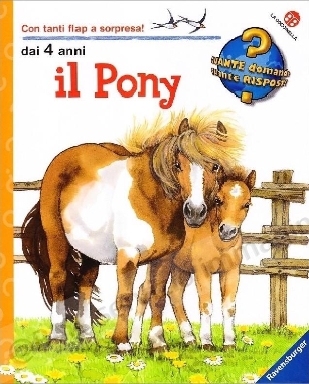 PONY