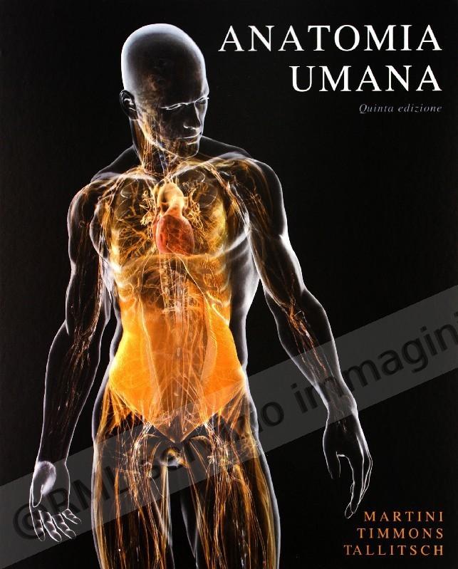 ANATOMIA UMANA 5 ediz.