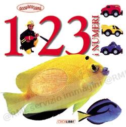 NUMERI (CARTONATO TATTILE)