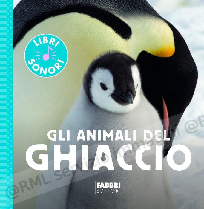 ANIMALI DEL GHIACCIO