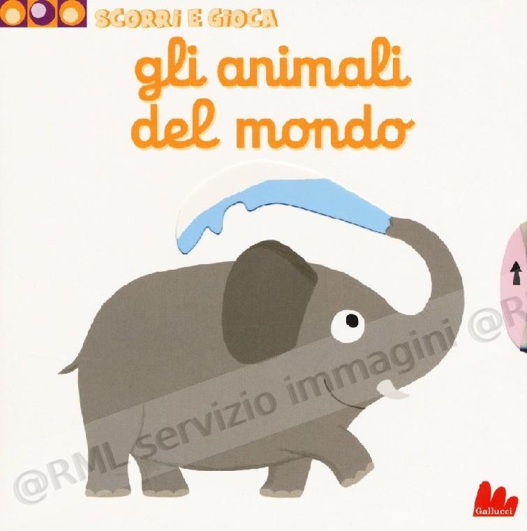 ANIMALI DEL MONDO scorri e...