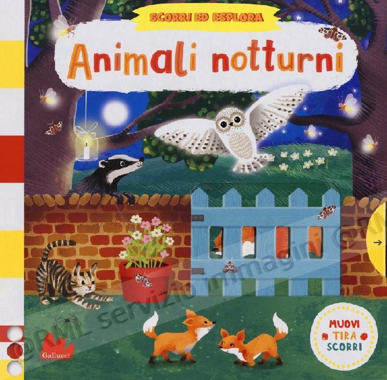 ANIMALI NOTTURNI scorri ed...