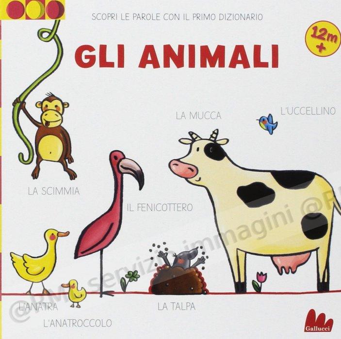 ANIMALI