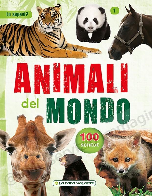 ANIMALI DEL MONDO 92 SCHEDE