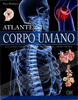 ATLANTE DEL CORPO UMANO