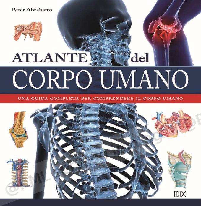 ATLANTE DEL CORPO UMANO