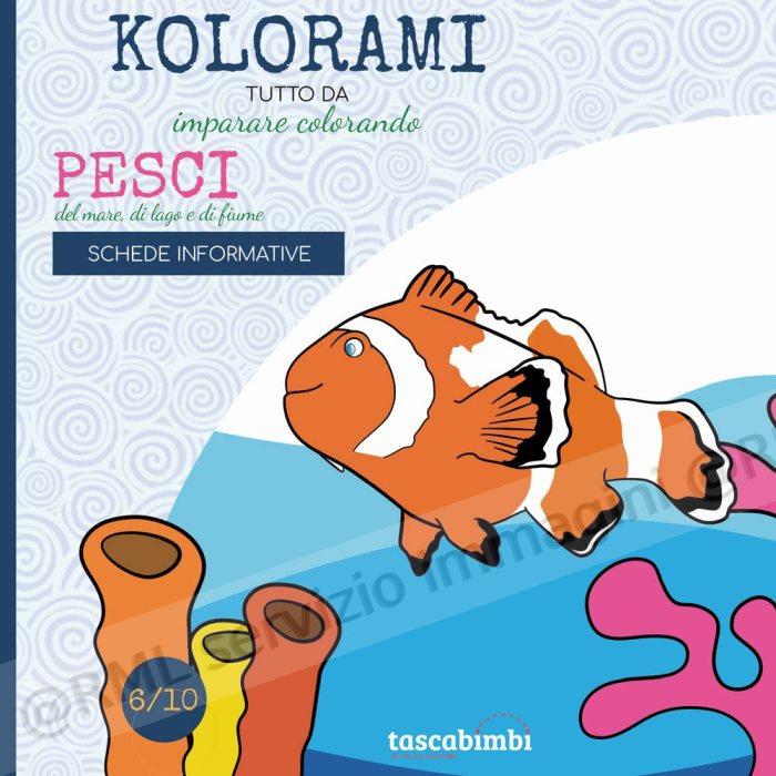 pesci del mare, di lago, di...