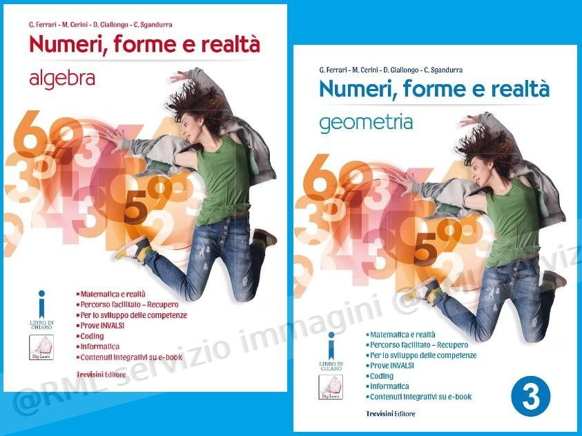 numeri forme e realta,...