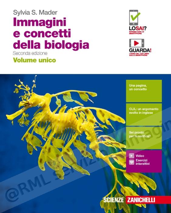 immagini e concetti...