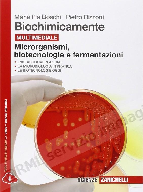 biochimicamente, microrganismi