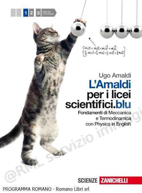 AMALDI PER I LICEI SC.BLU 1...