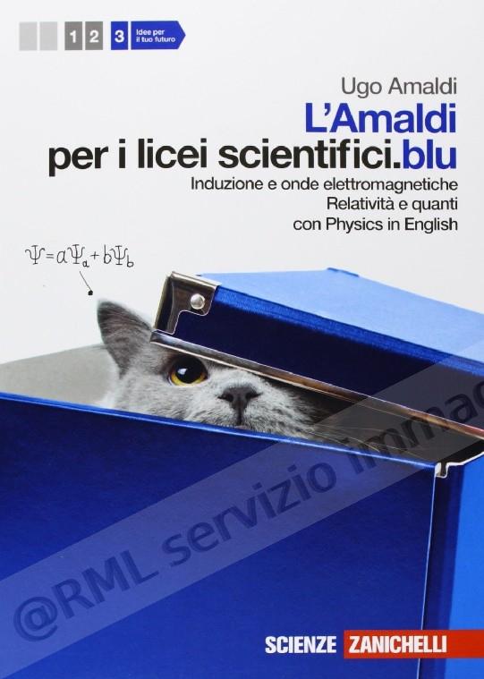 AMALDI PER I LICEI SC.BLU 3...