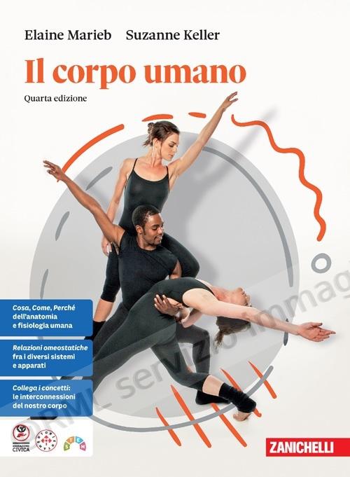 corpo umano (4)