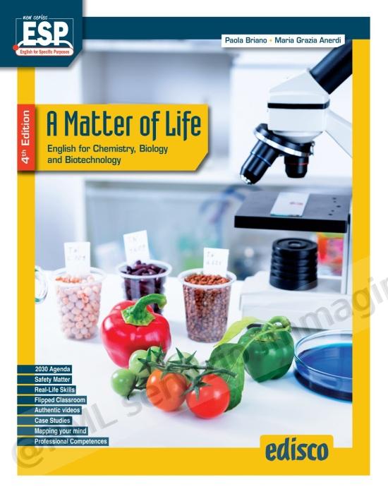 matter of life x it e ip