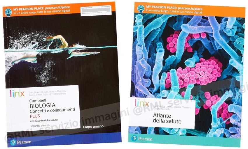 biologia concetti... corpo...