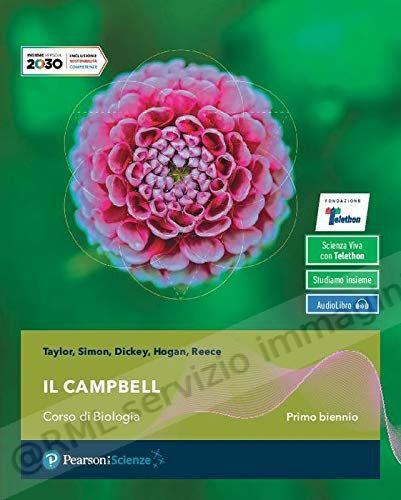 CAMPBELL X BN +GUIDA ALLO...