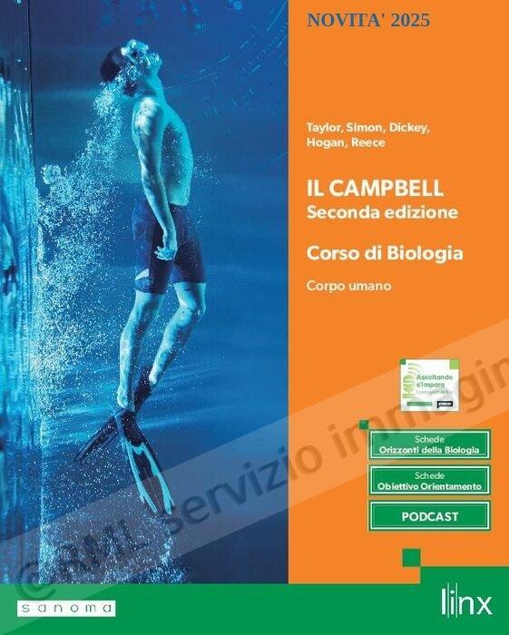 campbell (2) ed.verde x bn,...