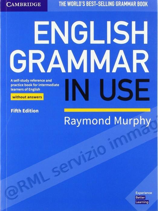 english grammar in use blu...