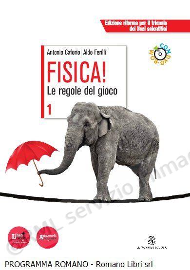 FISICA LE REGOLE DEL GIOCO...