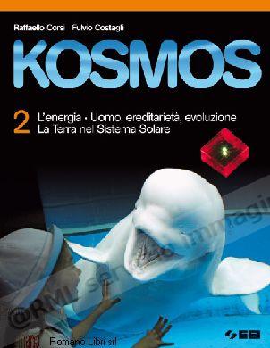KOSMOS 2