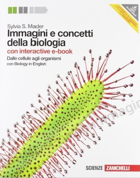IMMAGINI E CONCETTI...