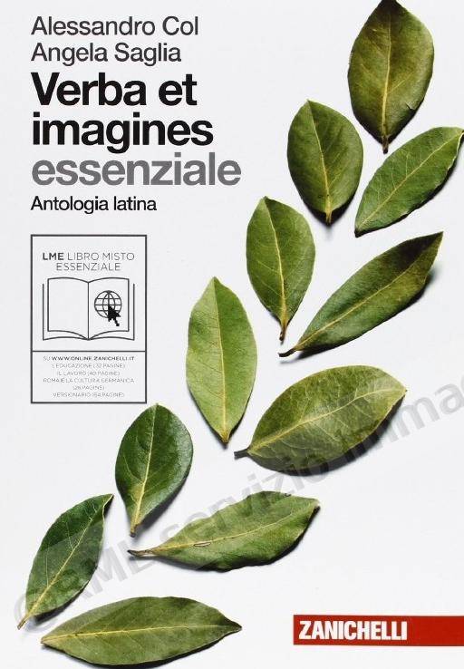 VERBA ET IMAGINES...