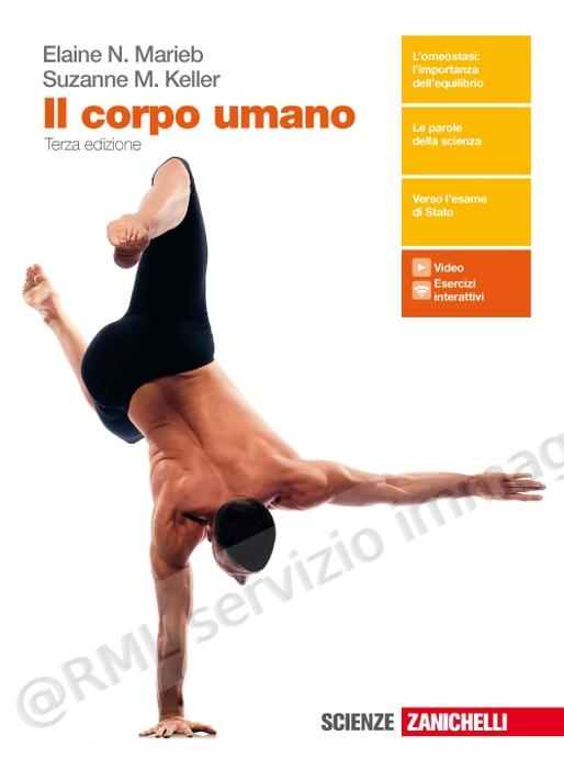 corpo umano (3) v.e.