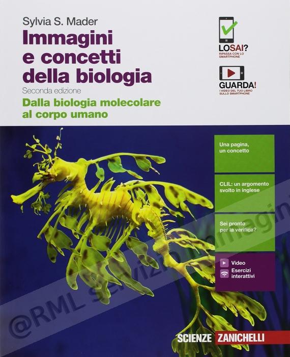 IMMAGINI E CONCETTI...