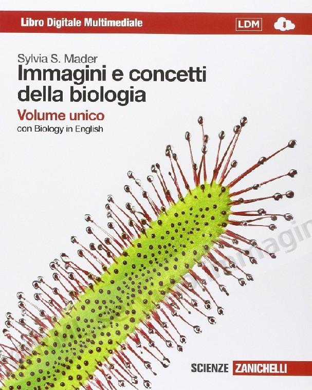 IMMAGINI E CONCETTI...