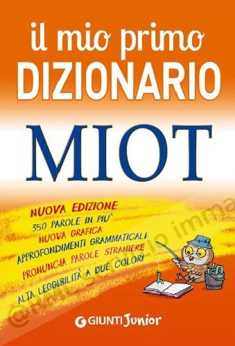 mio primo dizionario, ril....